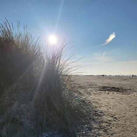 Norderny Direkt Am Deich, Fledderweg 8 In Norddeich Norden
